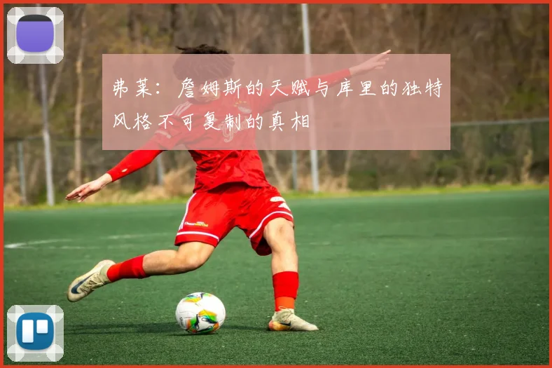 弗莱：詹姆斯的天赋与库里的独特风格不可复制的真相